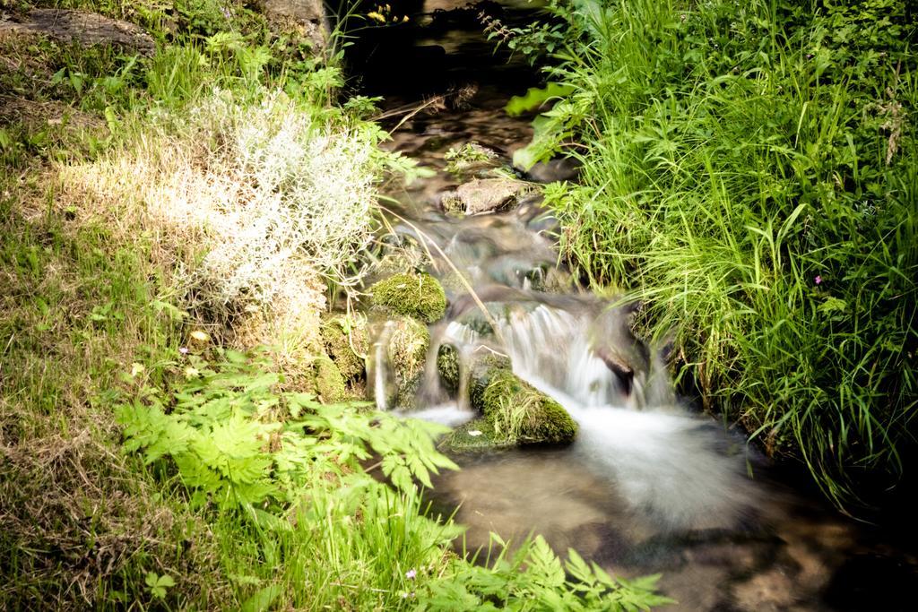 Auberge Du Moulin De Lere Vailly Exteriör bild
